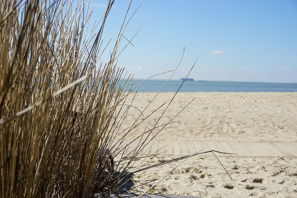 Фото Zandpaviljoen Pier 7