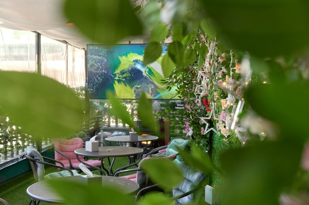 Фото Snowflower Guesthouse