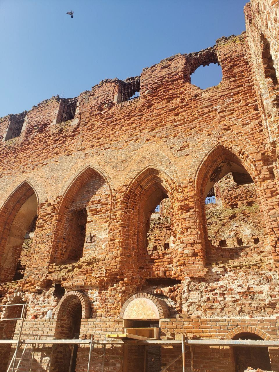 Фото Принцесса Рагнета