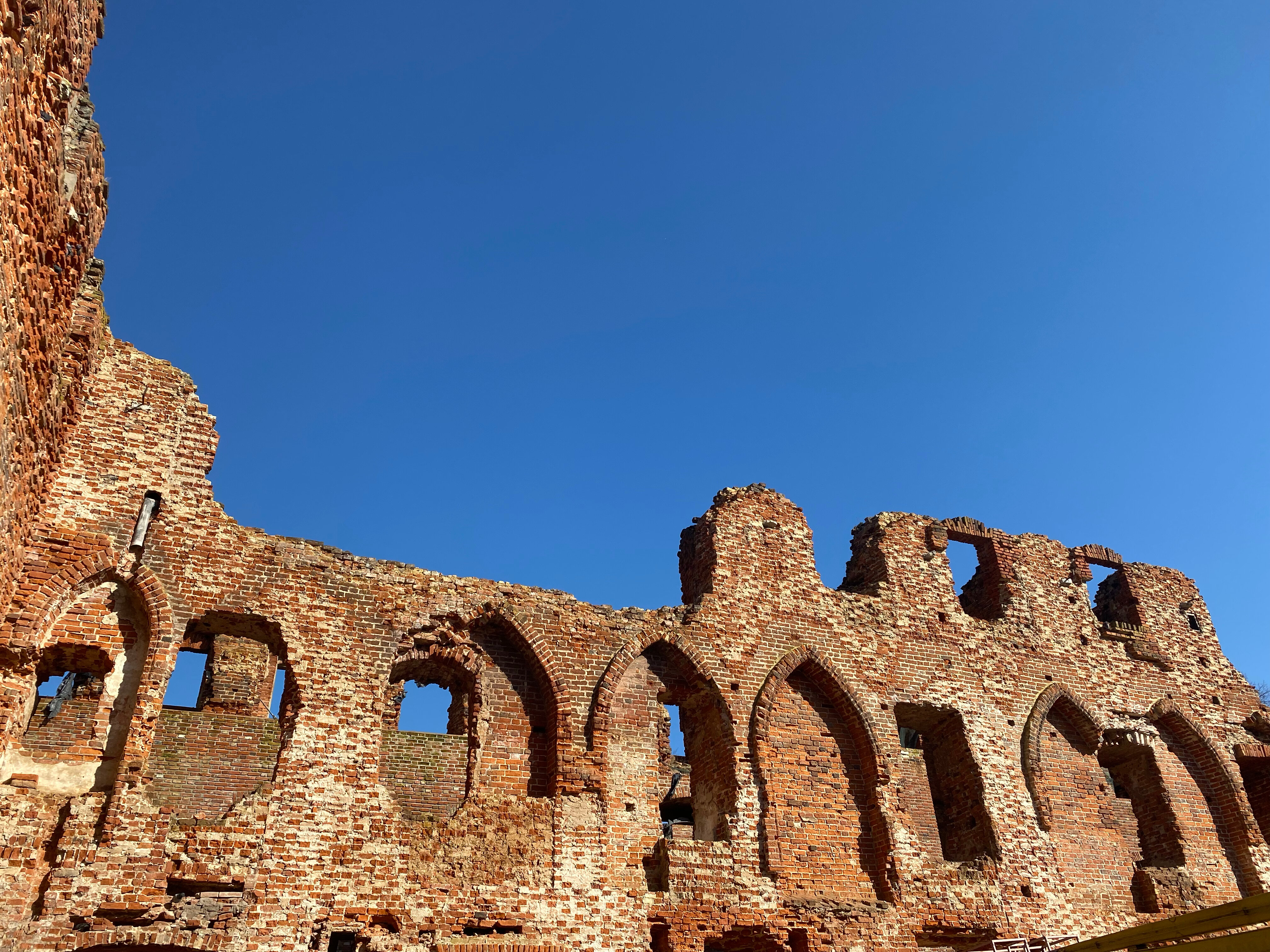 Фото Принцесса Рагнета