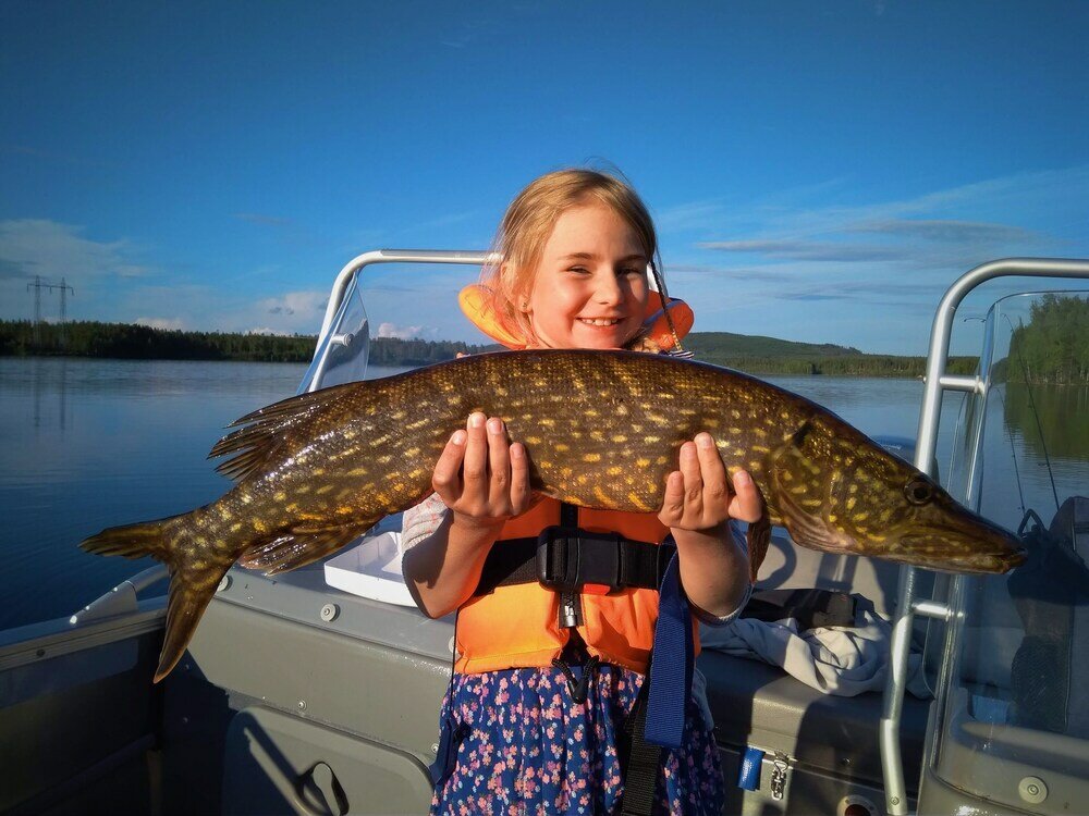 Фото Vildmarks Lodge