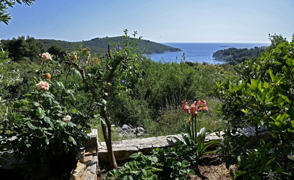 Фото Toni - With Pool and View - A3