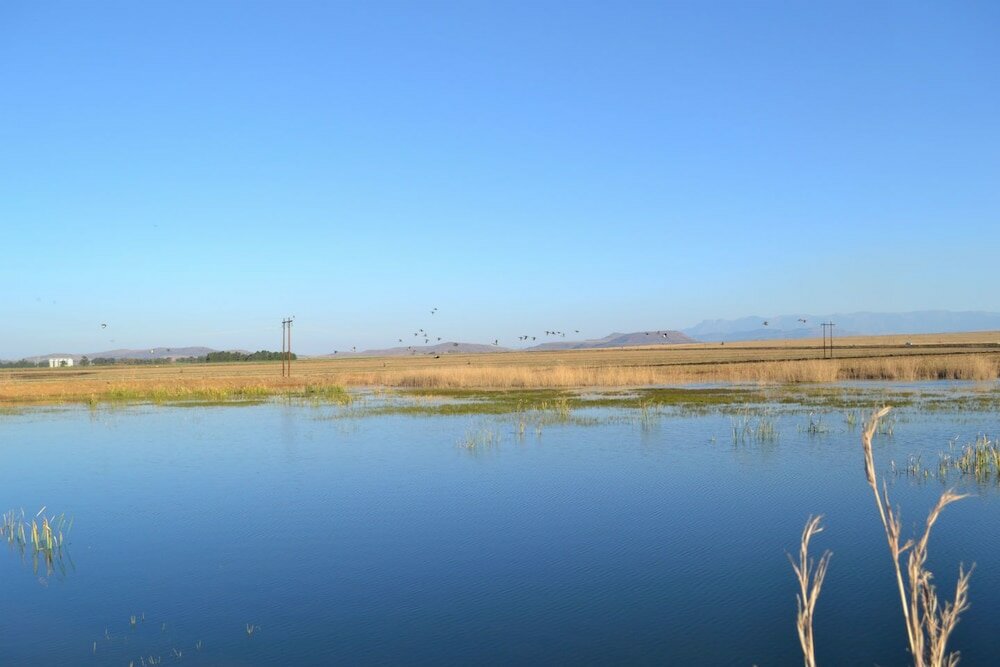 Фото Bingelela Lodge