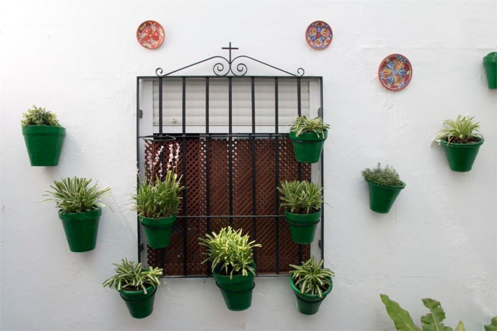 Фото Hospederia Luis de Gongora