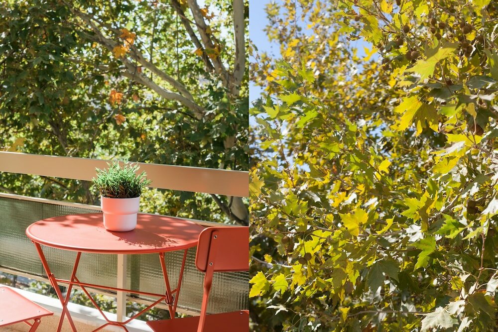 Фото Absolute 2br Apartment