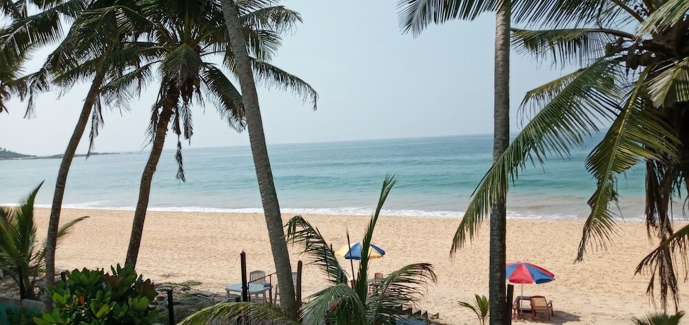 Фото Hotel New Seaside Inn