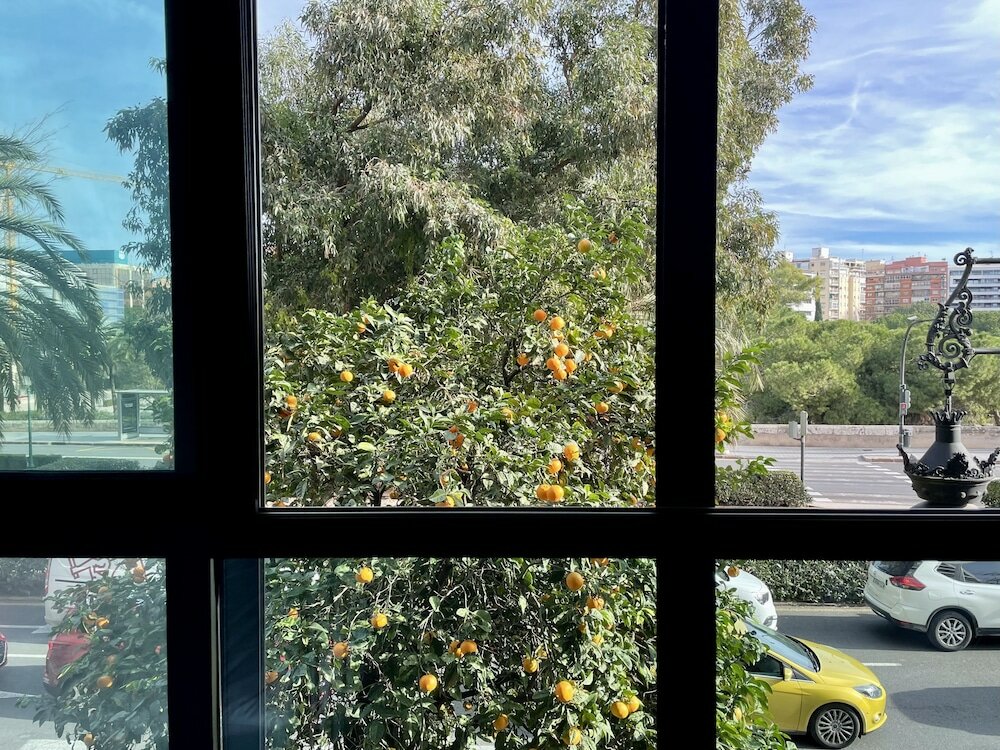 Фото Md Modern Hotel - Jardines