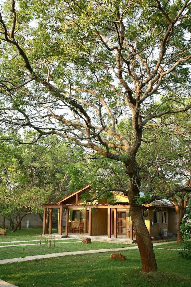 Фото Elephant Reach Yala