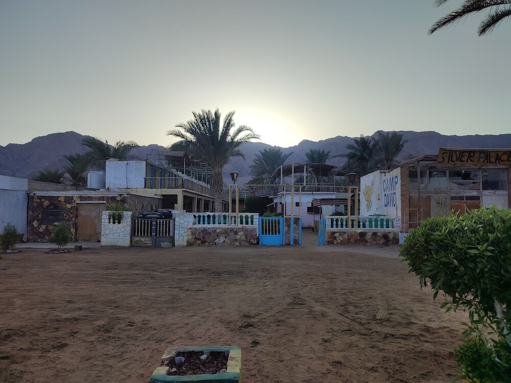 Фото White palace camp ex camp david