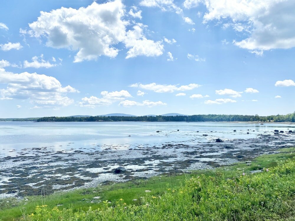 Фото Island View Hotel Bar Harbor