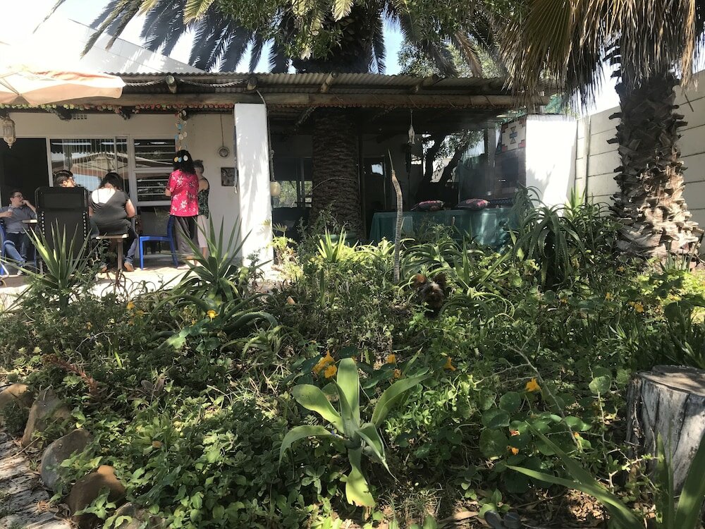 Фото Melkbos Seagulls Lapa