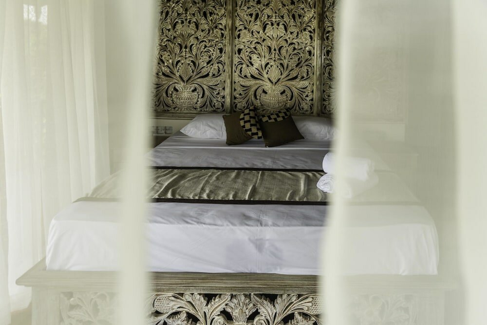 Фото DCanal House