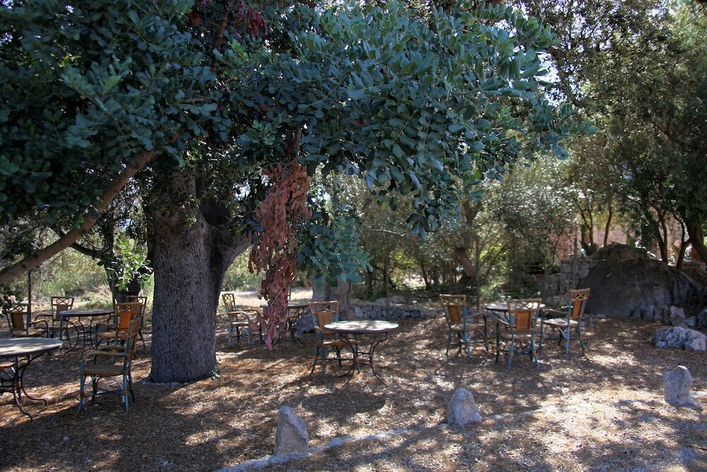 Фото Ca's Garriguer