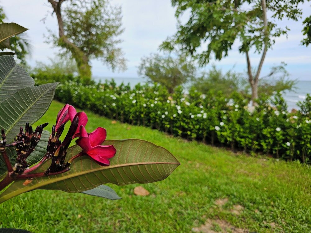 Фото Samed Tamarind Beach Resort