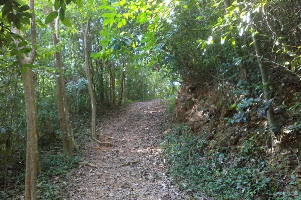 Фото The Royal Rayong by Nun