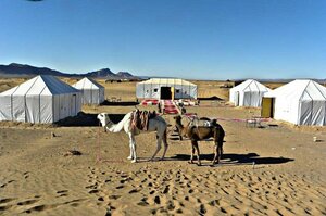 Zagora luxury camp (Zagora), hotel