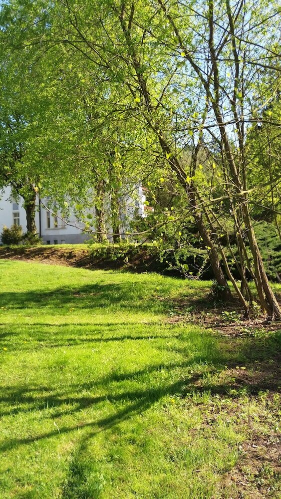 Фото Hotel Vila Olga