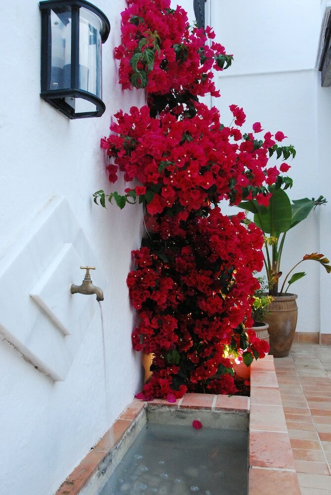 Фото Albariza Hotel Boutique