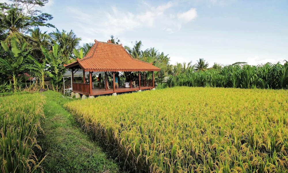 Фото Alam Kawi Ubud Resort & SPA