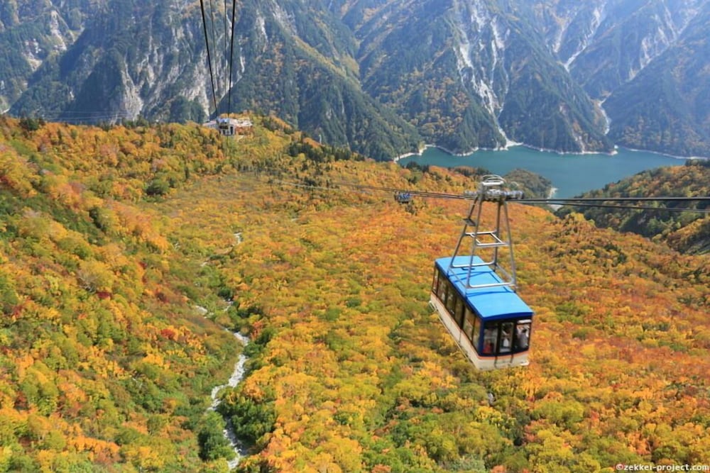 Фото Kongoji Syukubo Seihoin