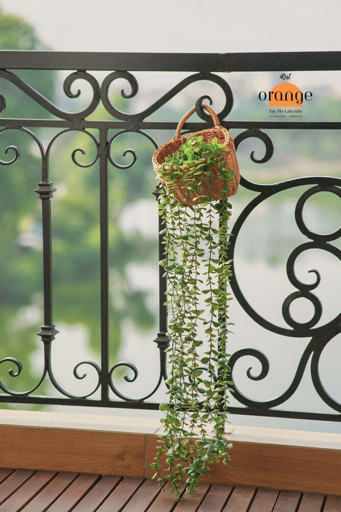 Фото IRest Orange Tay Ho Lakeside Apartment