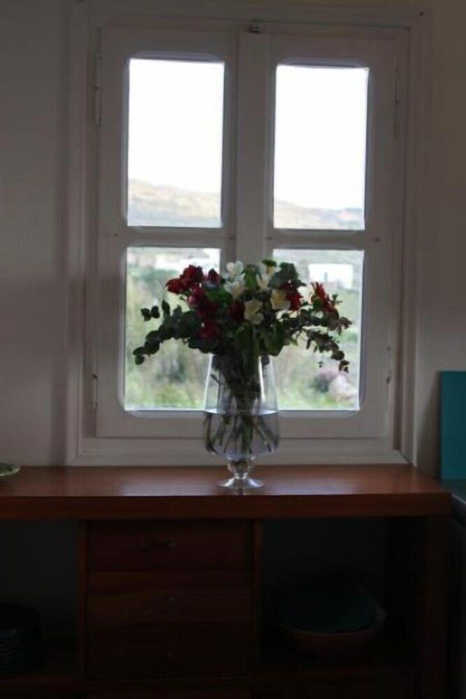 Фото Villa Elena