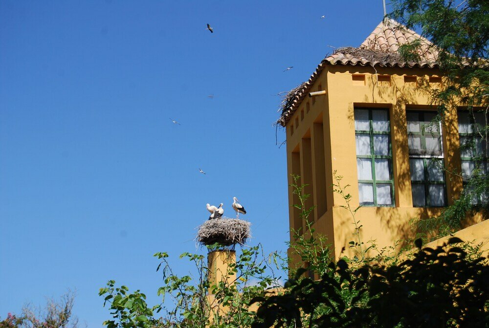 Фото Vivienda Rural el Retorno