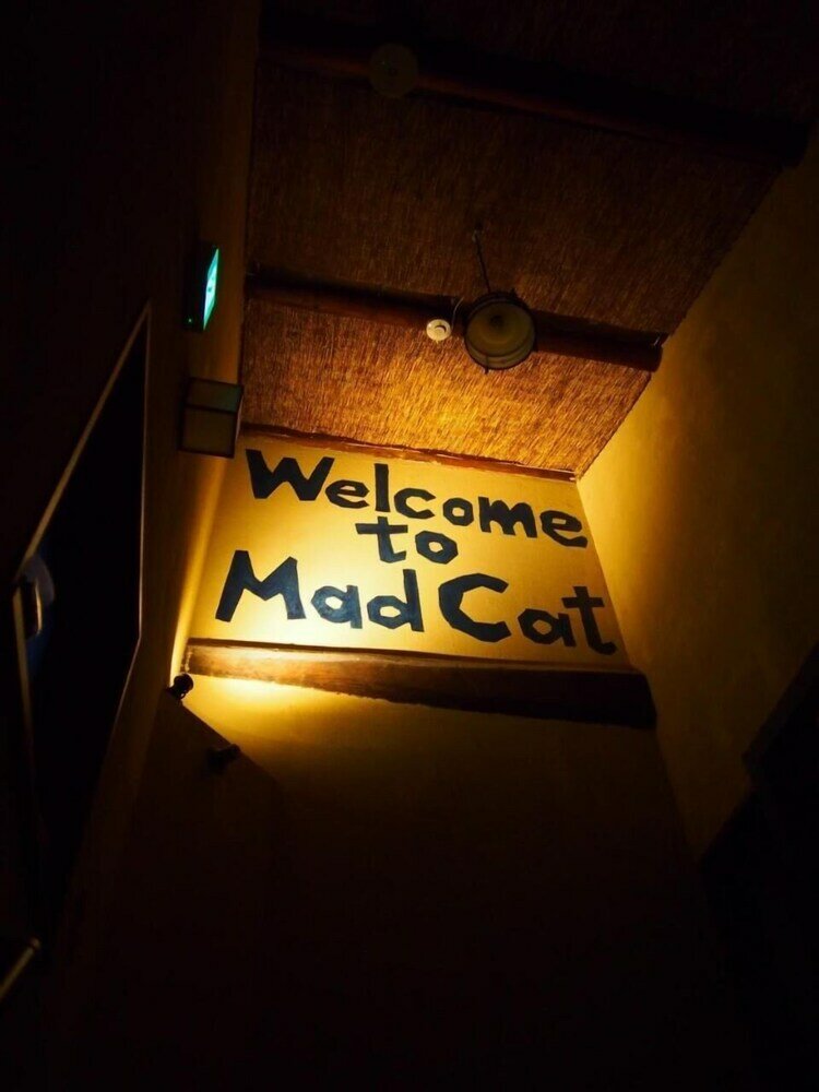 Фото Mad Cat Hostel Osaka & Bar