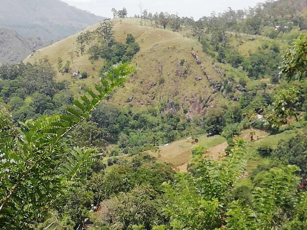 Фото Cloudy Hill Cottage