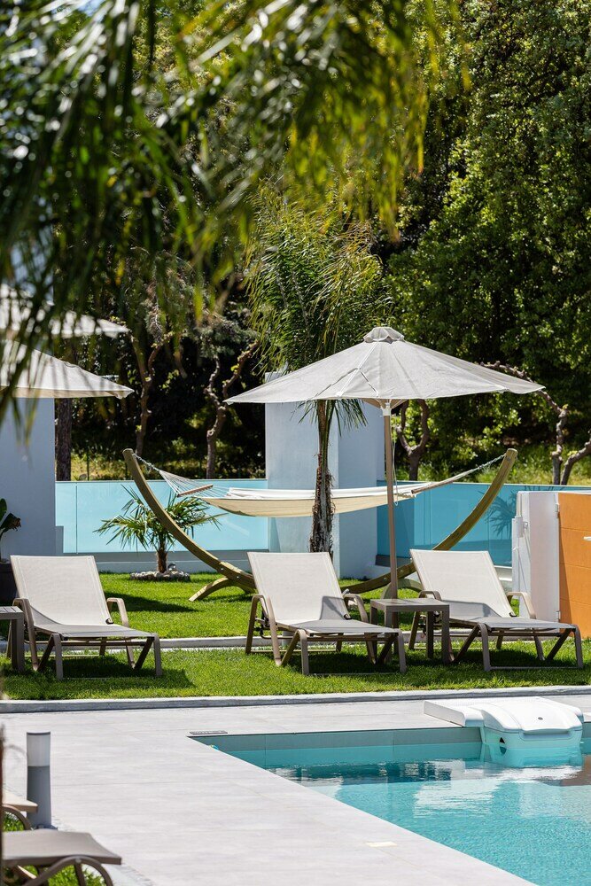 Фото Coconut Palm Paradise