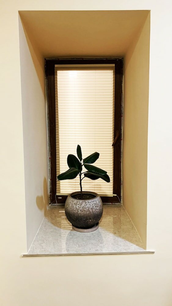 Фото Domino Yerevan Hostel and Tours