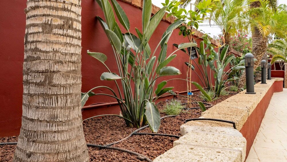 Фото Hotel Ecolife Tenerife