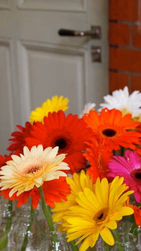 Фото Station Amstelveen Bed and Breakfast