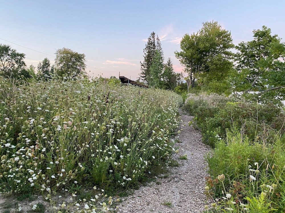 Фото Brand New Walk Out Bsmt Apt Near Beach