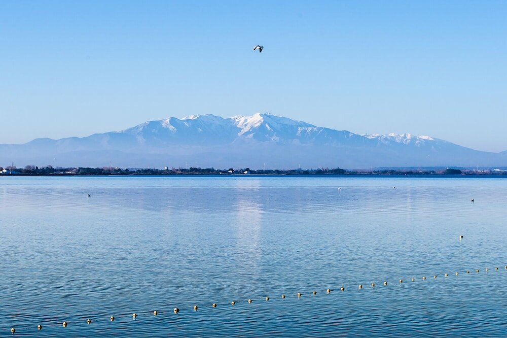 Фото Dali Hôtel - Restaurant