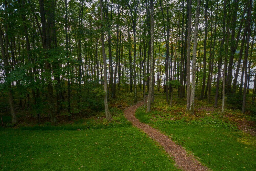 Фото Donnas Choice