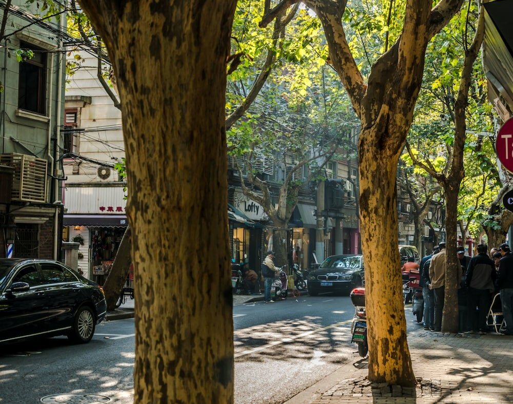 Фото Cozy Apartment Best Location 159