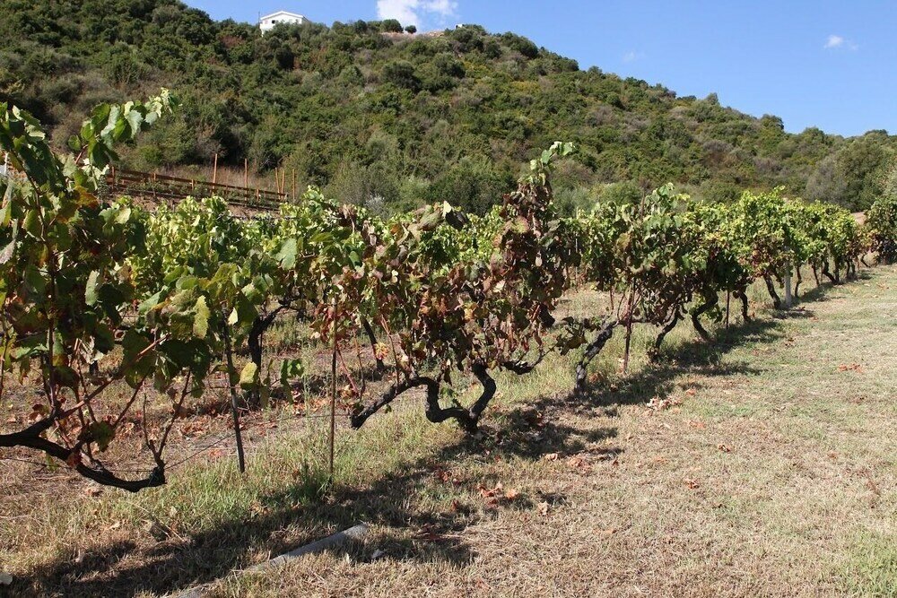 Фото Agriturismo B&b Sa Inza