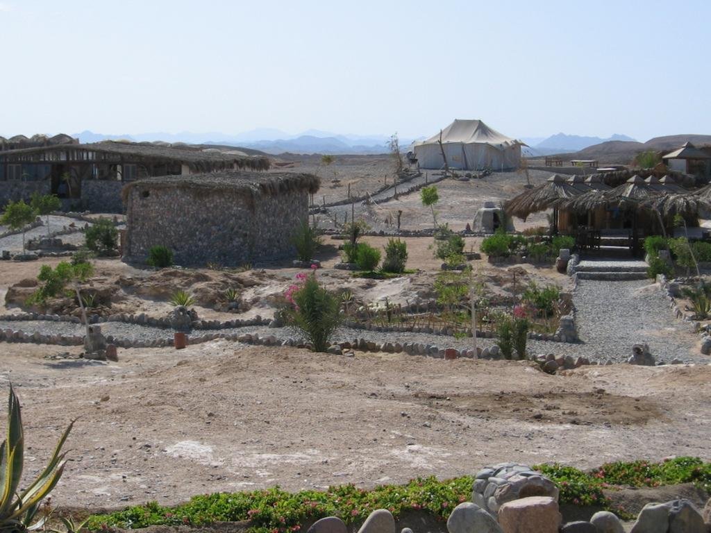 Фото Ecolodge Bedouin Valley