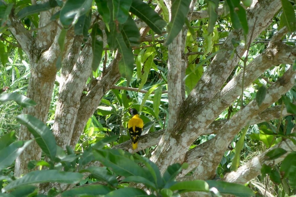 Фото Manel Guesthouse