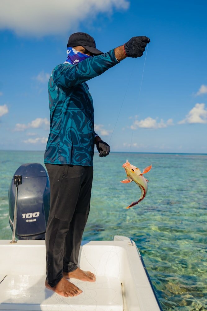 Фото Gaafaru View Inn