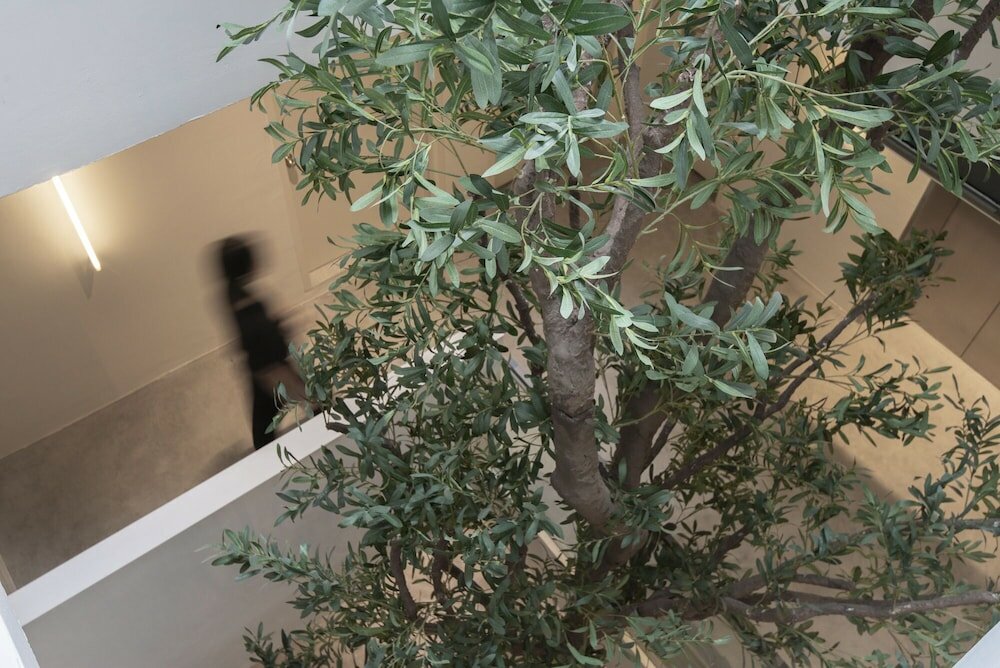 Фото Kinn Capsule