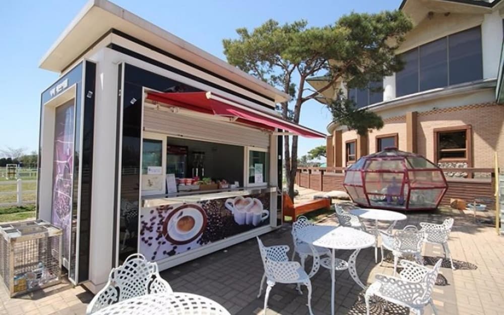 Фото Daebudo Beradel Pension