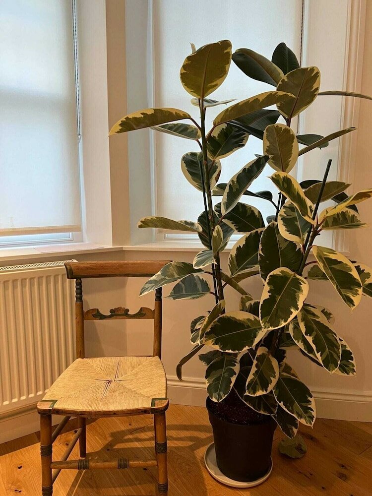 Фото Spacious and Bright 1 Bedroom Flat in Notting Hill