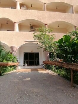 Фото Pharaonic Rose