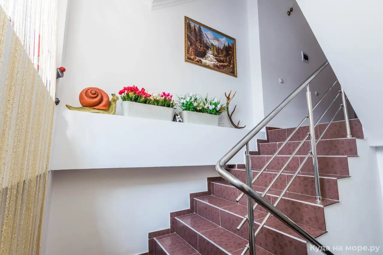 Фото Николетта