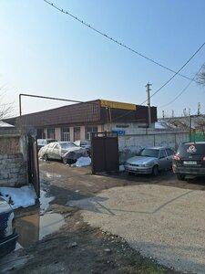 Car service (Yntymaq yqsham aýdany, Túrkіstan kóshesі, 94А), car service, auto repair