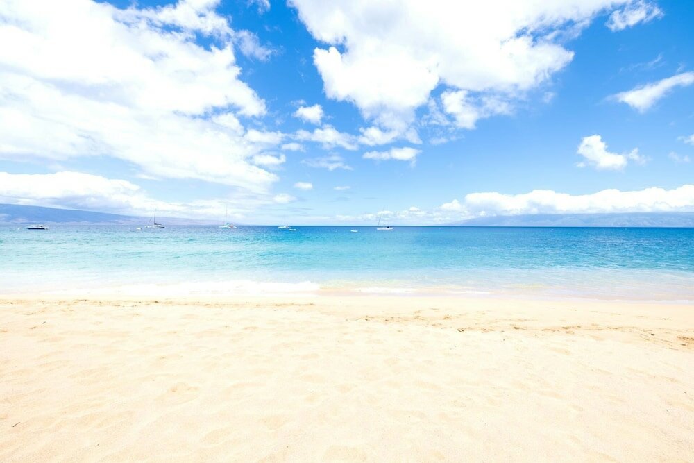 Фото K B M Resorts: The Whaler Wh2-661, Sweeping Ocean Views 1 Bedroom, Beach Gear, Newly Furnished 2023, L'occitane Amenities, Includes Rental Car!