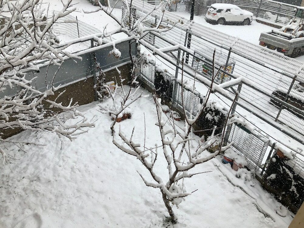 Фото Kings Of Hermon