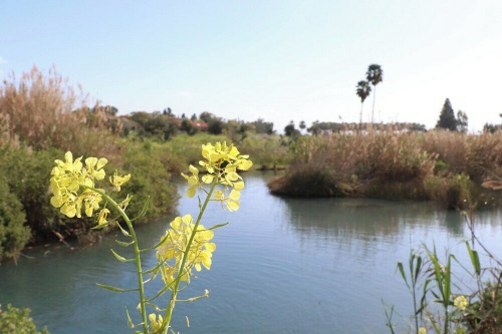 Фото Layla Glamping